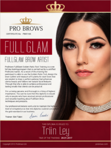 ProBrows FullGlam kulmukoolitus