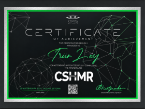 CSHMR Brows meistriklass – Oksana Martynenko